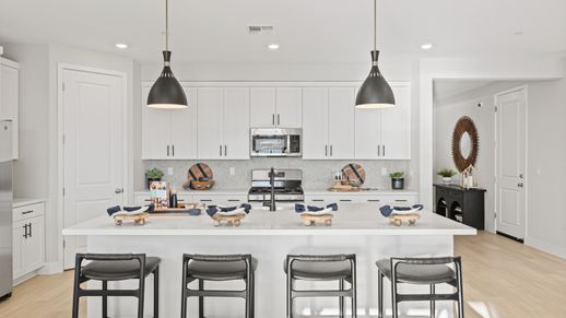 Lacewood Kitchen 3