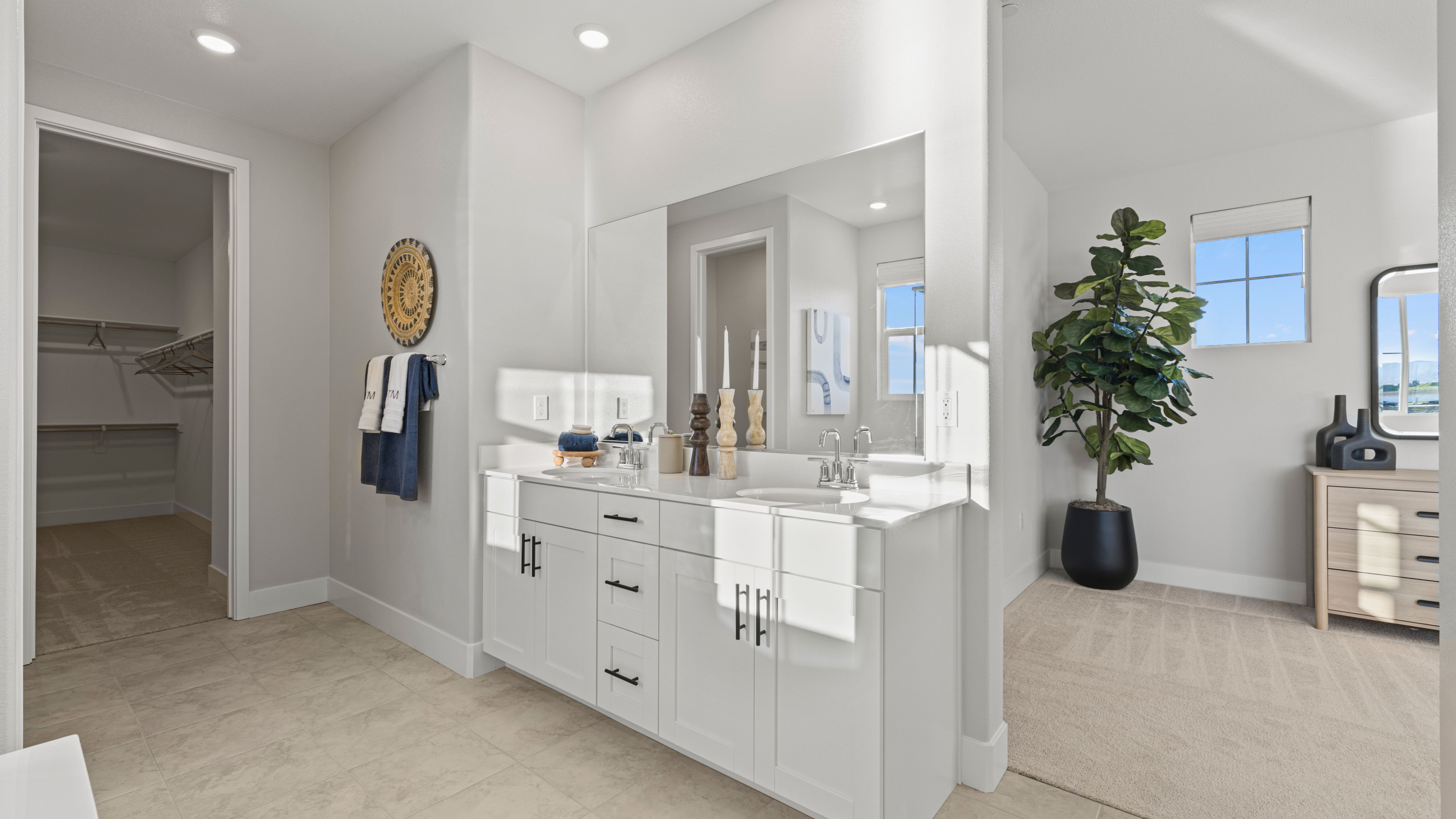 Lacewood Primary Bath 2