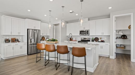 Lily Kitchen