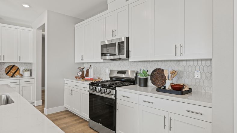 Lily Kitchen 3