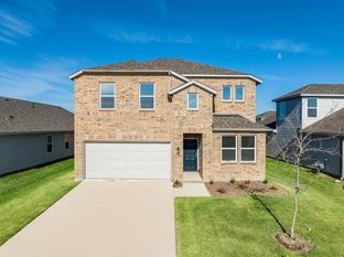 Verbena - River Ridge: Crandall, Texas - Taylor Morrison