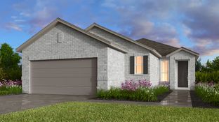 Alpine - Nolina 45s: Georgetown, Texas - Taylor Morrison