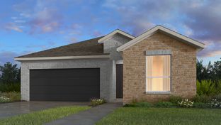 Sandpiper - Nolina 45s: Georgetown, Texas - Taylor Morrison