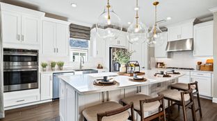 Lazio Plan - Esplanade Lake Club: Fort Myers, Florida - Taylor Morrison