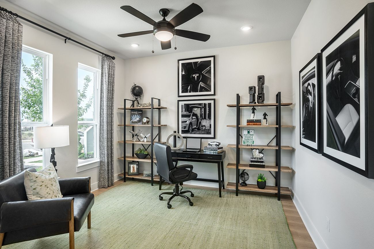 Nolina Jasmine - Study