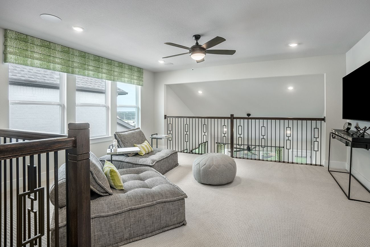 Nolina Jasmine - Game Room