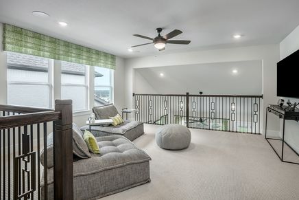 Nolina Jasmine - Game Room