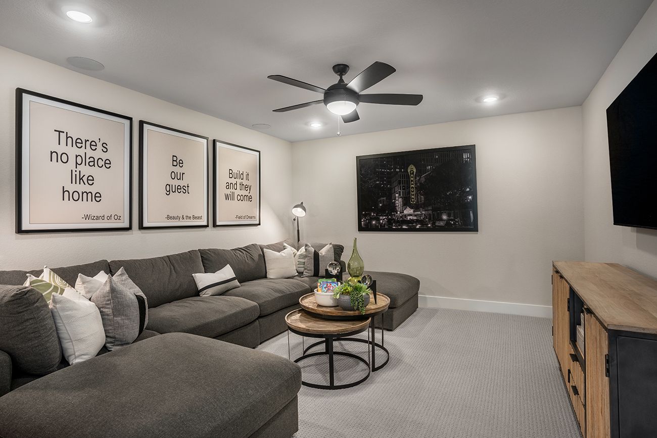 Nolina Jasmine - Media Room