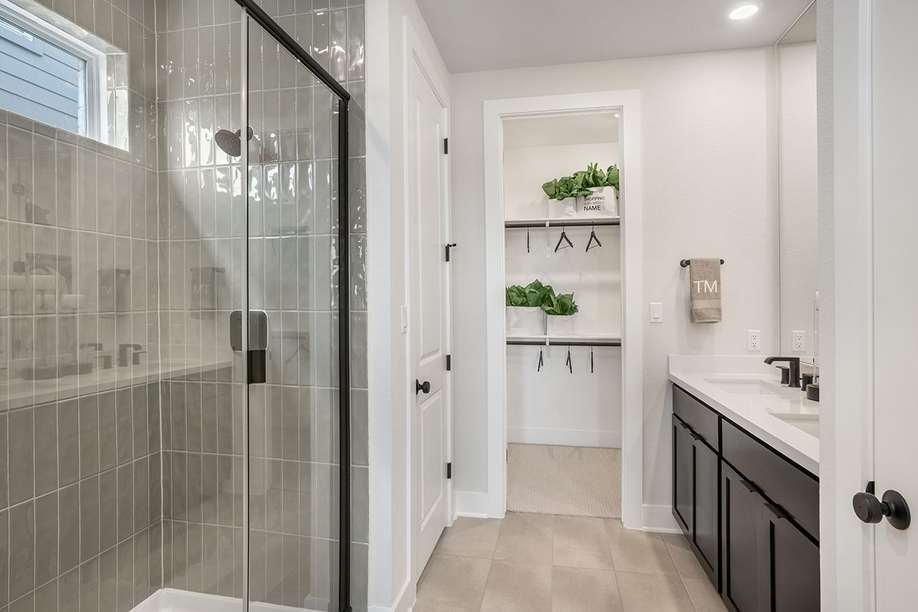 Nolina Jasmine - Primary Bath