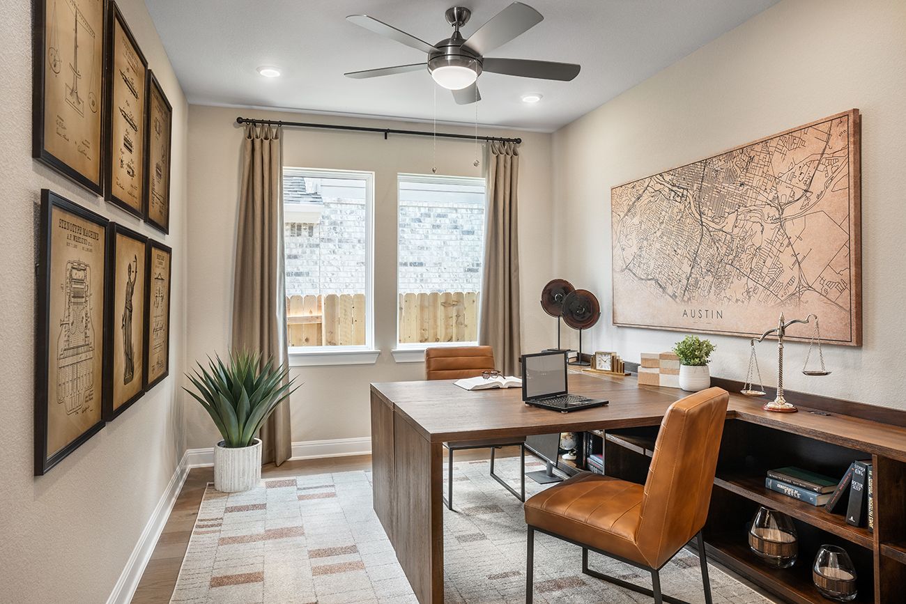 Nolina Carmine - Study