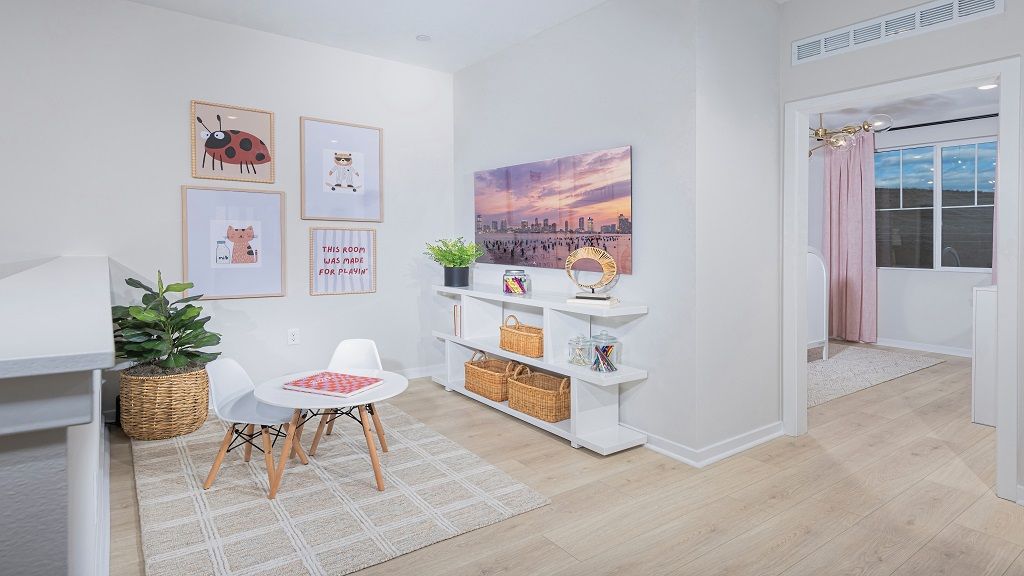 ResizedOlivaPlan1shot8