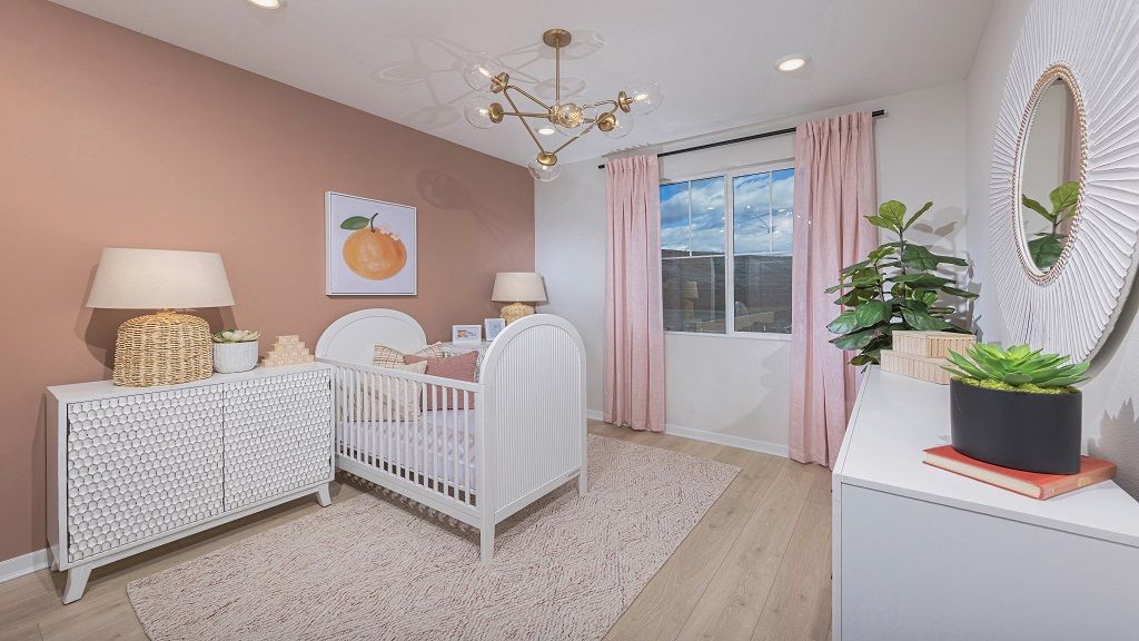 ResizedOlivaPlan1shot6