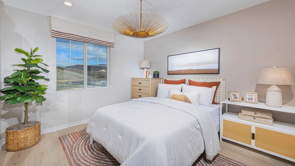 ResizedOlivaPlan1shot7