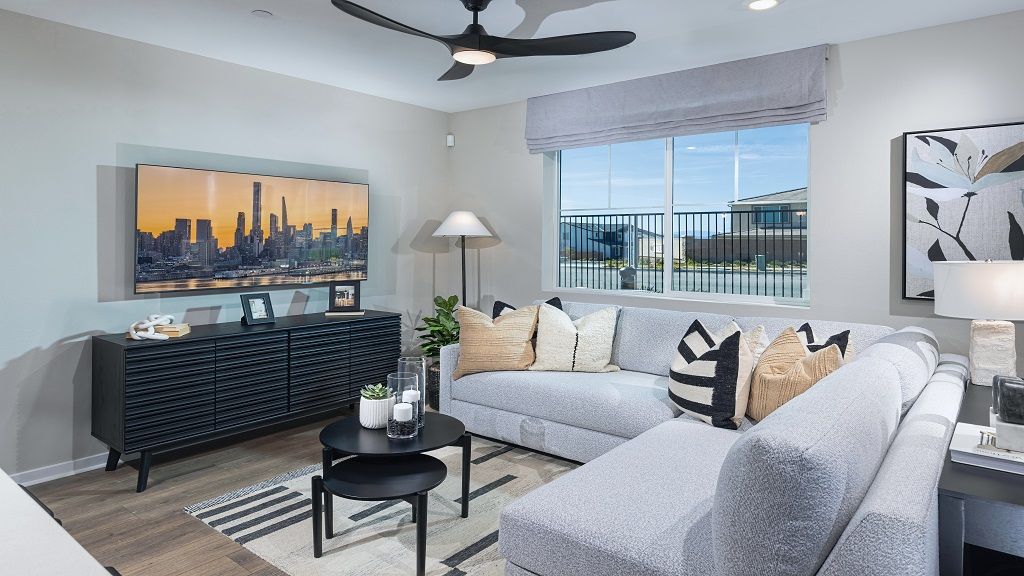 ResizedTMOlivaPlan2Shot3