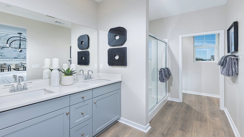 ResizedTMOlivaPlan2Shot5