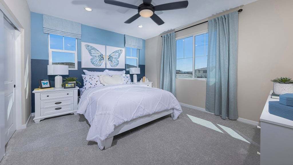 ResizedTMOlivaPlan4Shot7