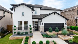 Saffron - Travisso Capri Collection: Leander, Texas - Taylor Morrison
