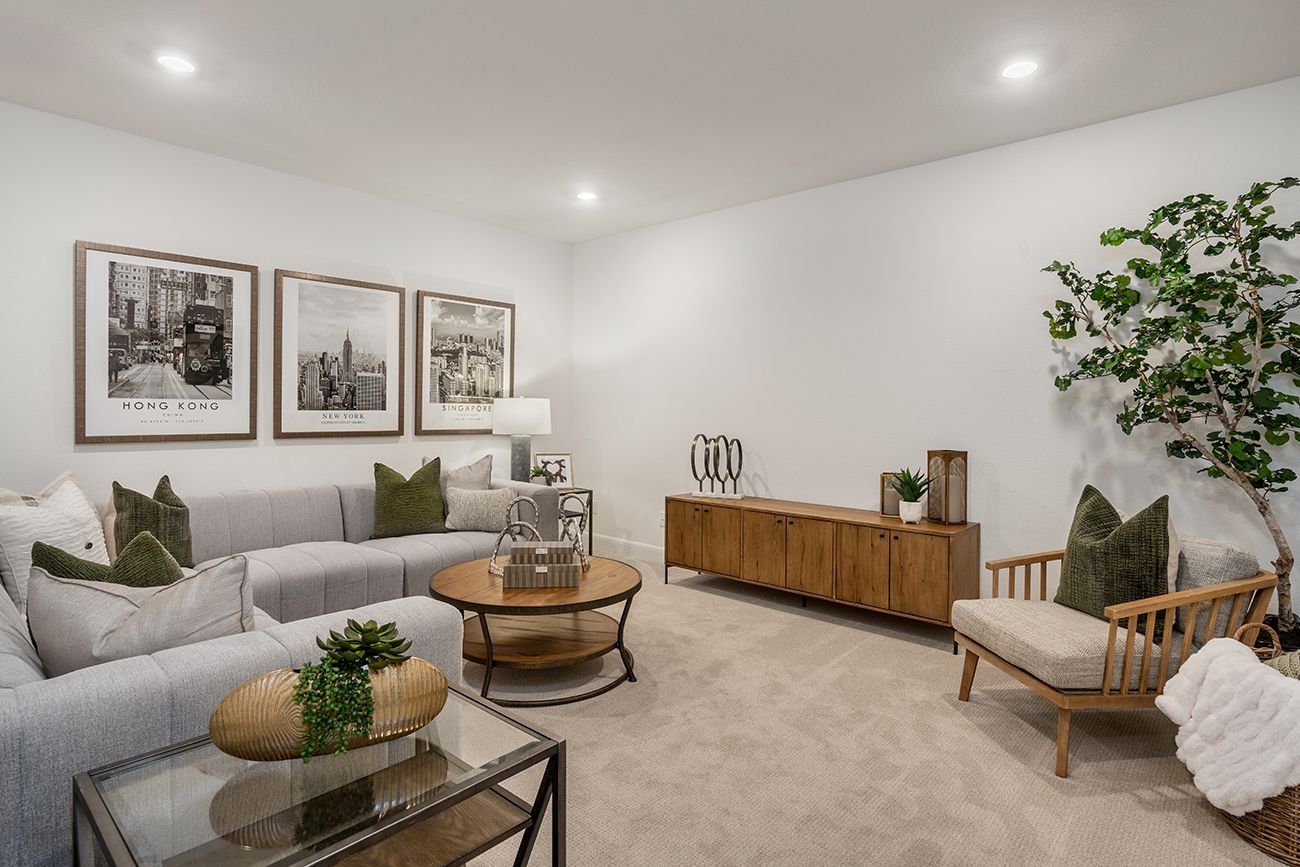 Travisso Calypso - Media Room