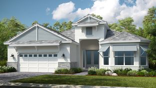 Pallazio - Astor Creek Golf and Country Club: Port St Lucie, Florida - Taylor Morrison