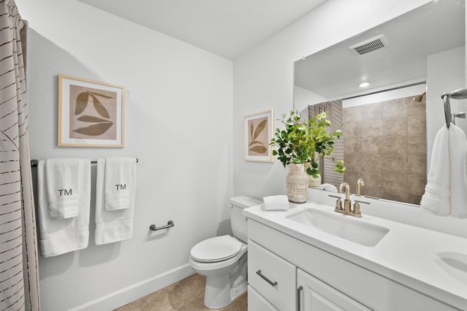 Guest Bath