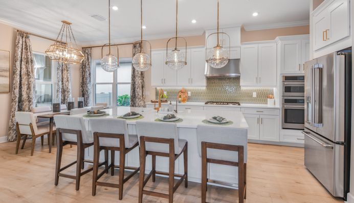 ESP at Skye Ranch Farnese 3278.jpg