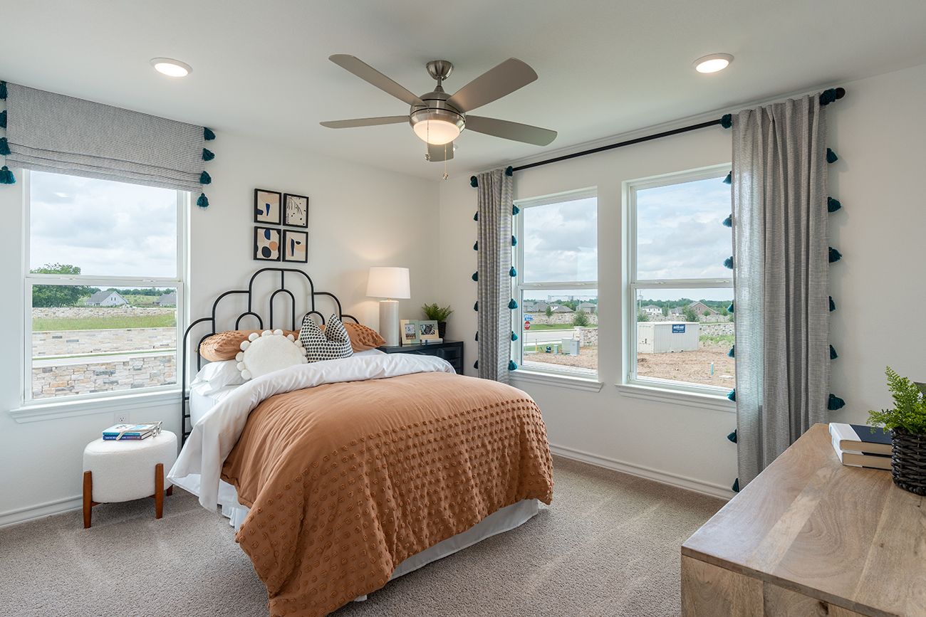Lisso Lavaca - Bed 3