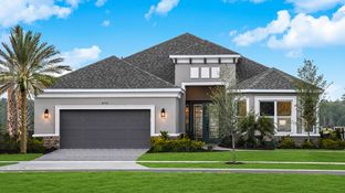 Pallazio - Esplanade at Westview: Kissimmee, Florida - Taylor Morrison
