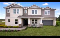 Ardisia Park: New Smyrna Beach, Florida - Taylor Morrison