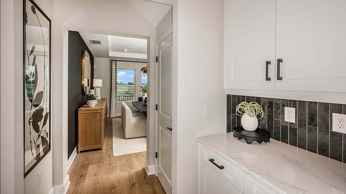 Ardisia-Park-Bimini-7448-1200x675