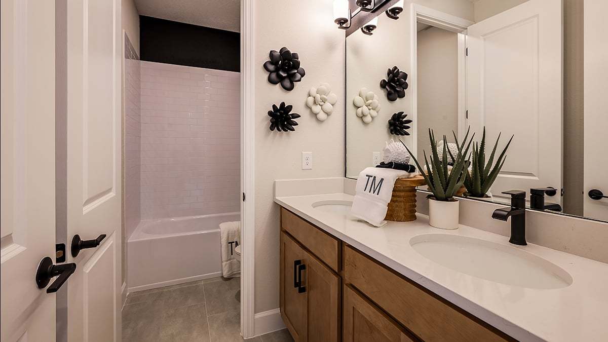 Ardisia-Park-Bimini-7590-1200x675