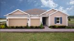 Ardisia Park - New Smyrna Beach, FL