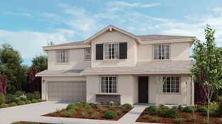 Marigold - Trailview at Lakeshore: Mountain House, California - Taylor Morrison