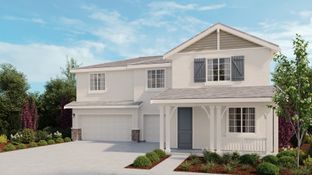 Mulberry - Trailview at Lakeshore: Mountain House, California - Taylor Morrison