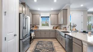 Arezzo - Esplanade at Wiregrass Ranch: Wesley Chapel, Florida - Taylor Morrison