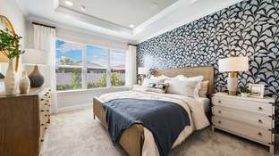 Arezzo - Esplanade at Wiregrass Ranch: Wesley Chapel, Florida - Taylor Morrison