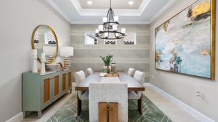 Roma - Esplanade at Wiregrass Ranch: Wesley Chapel, Florida - Taylor Morrison
