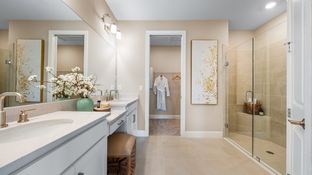 Roma - Esplanade at Wiregrass Ranch: Wesley Chapel, Florida - Taylor Morrison