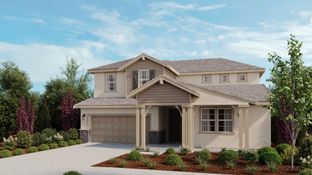 Lotus - Silverleaf at Lakeshore: Mountain House, California - Taylor Morrison