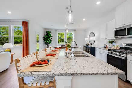 hj-ga-atlanta-heritage-river-edison-107-hollo...