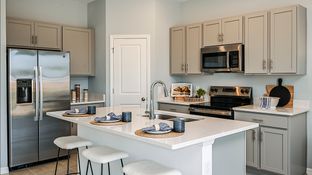 Jasmine - Waterstone Townhomes: Groveland, Florida - Taylor Morrison