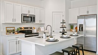 Marigold - Waterstone Townhomes: Groveland, Florida - Taylor Morrison