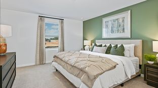 Marigold - Waterstone Townhomes: Groveland, Florida - Taylor Morrison