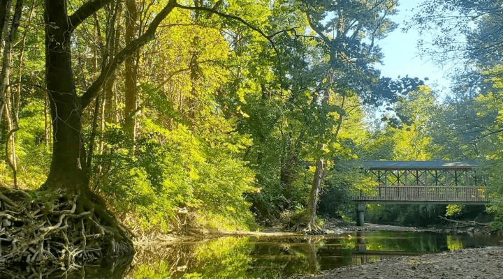 Pioneer Park in Mooresville IN