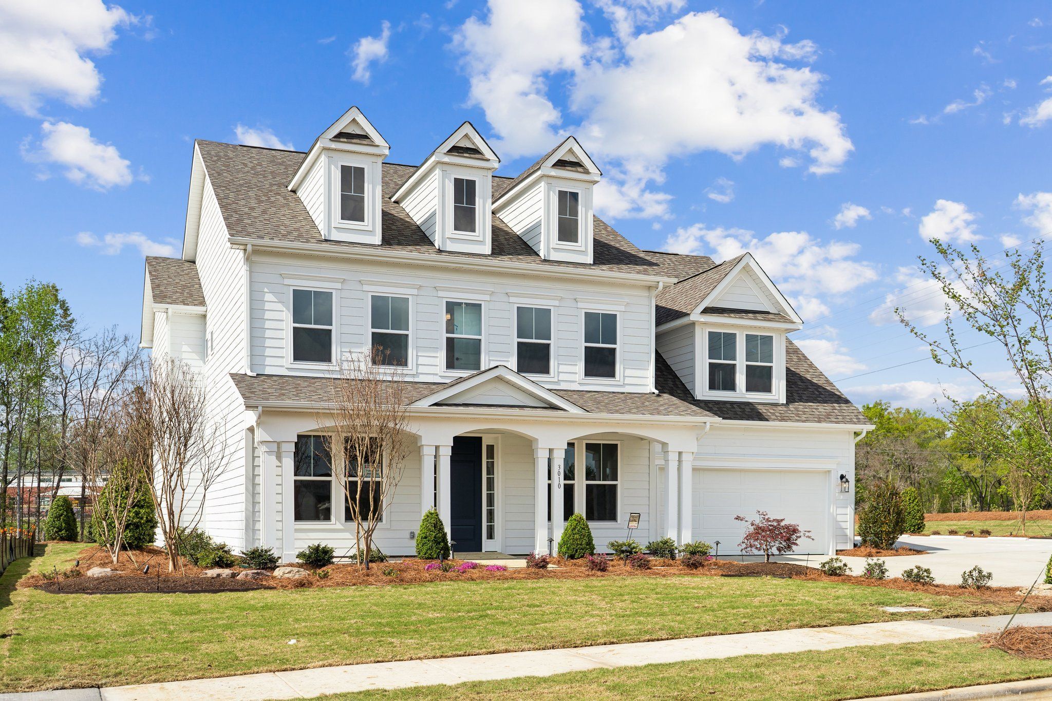 2-web-or-mls-DSC04706