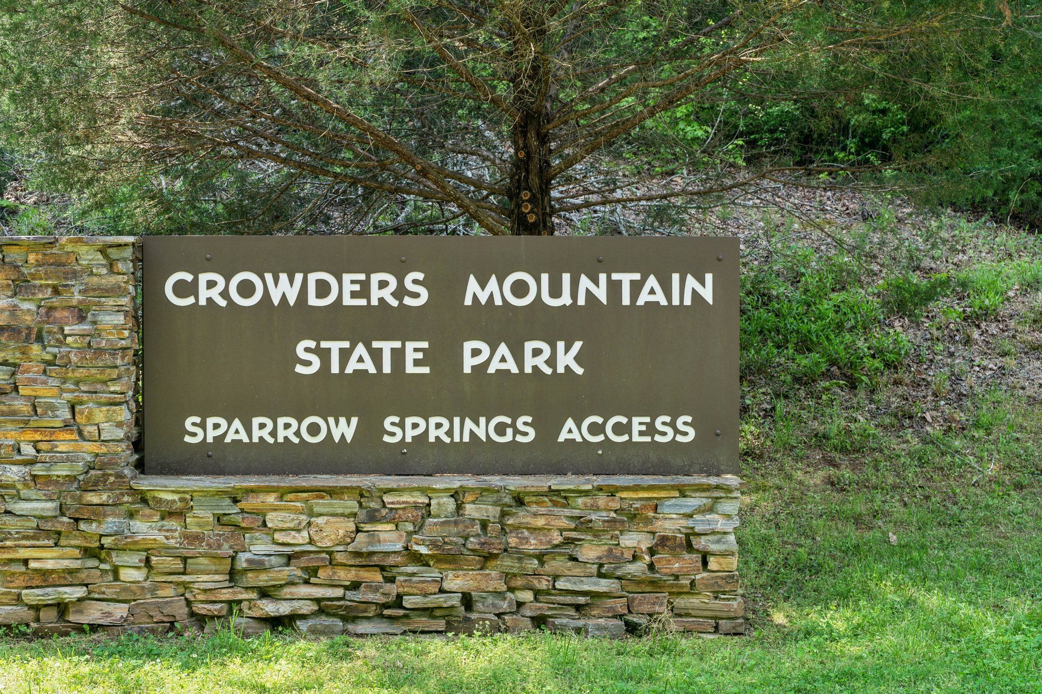 18-web-or-mls-DSC09765