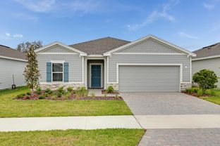 Ficus - Coopers Meadow: Jacksonville, Florida - Taylor Morrison