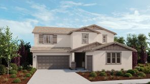 414 W Volta Street (Lupine)