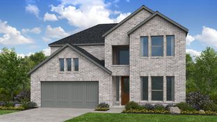 Citron - The Ranch at Uptown Celina 55s: Celina, Texas - Taylor Morrison