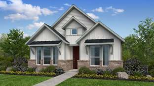 Braxton - The Ranch at Uptown Celina 40s: Celina, Texas - Taylor Morrison