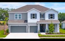 Timber Ridge: Plant City, Florida - Taylor Morrison